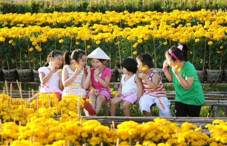 Should I Travel to Vietnam During Tet?