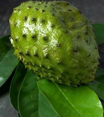 Soursop And Health Benefits