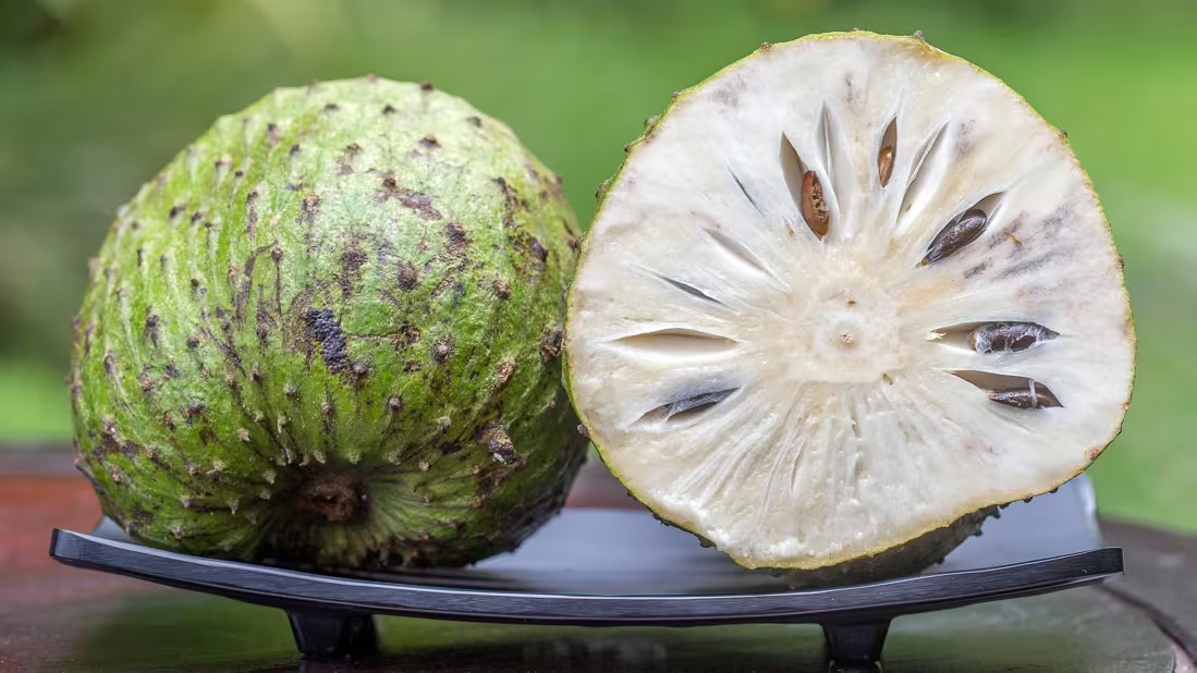 soursop