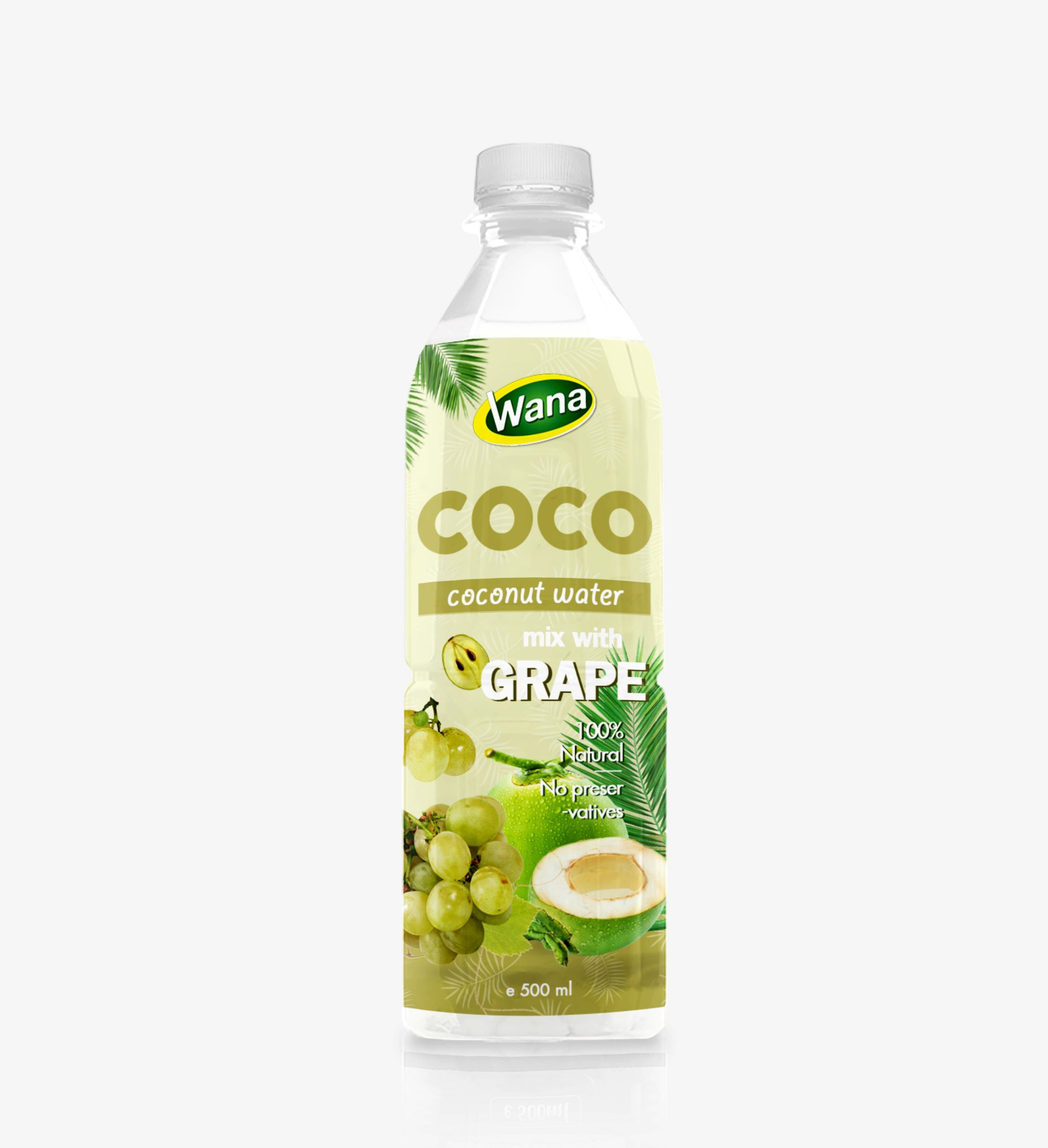 Green Coconut Drink with Passion Fruit Flavor 500mL Pet Bottled - Image 5