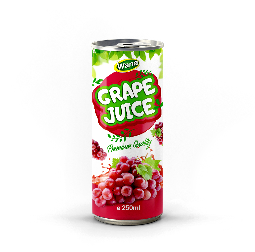 Premium Quality Logan Juice Drink 250mL - Image 2