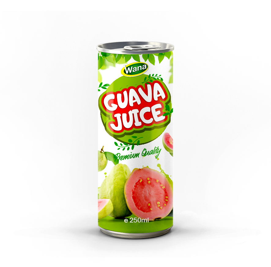 Premium Quality Logan Juice Drink 250mL - Image 3