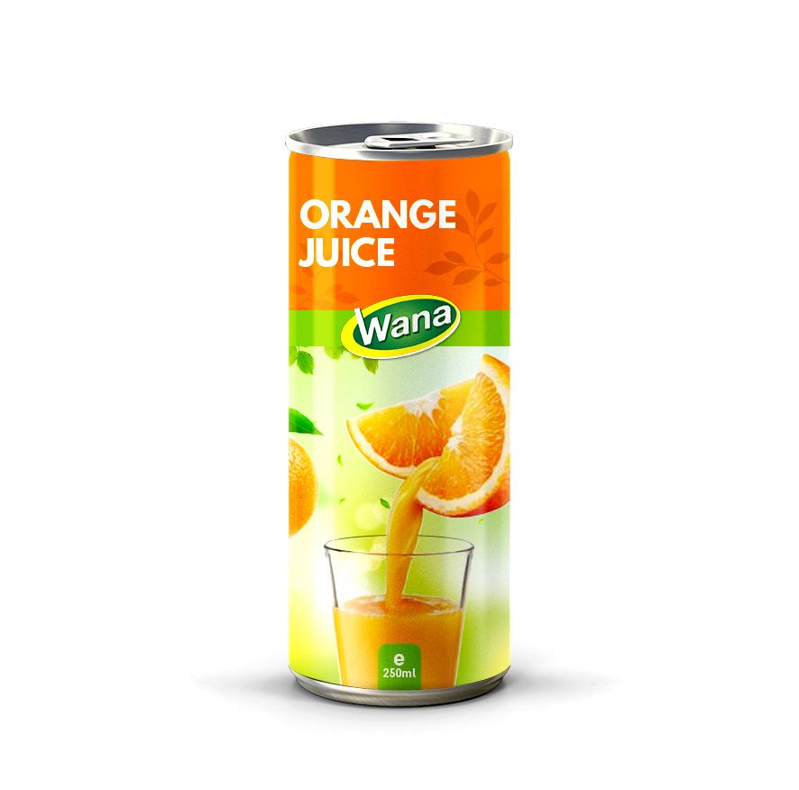 Refreshing Delight: Why Watermelon Fruit Juice Is the Ideal Beverage Choice - Image 3