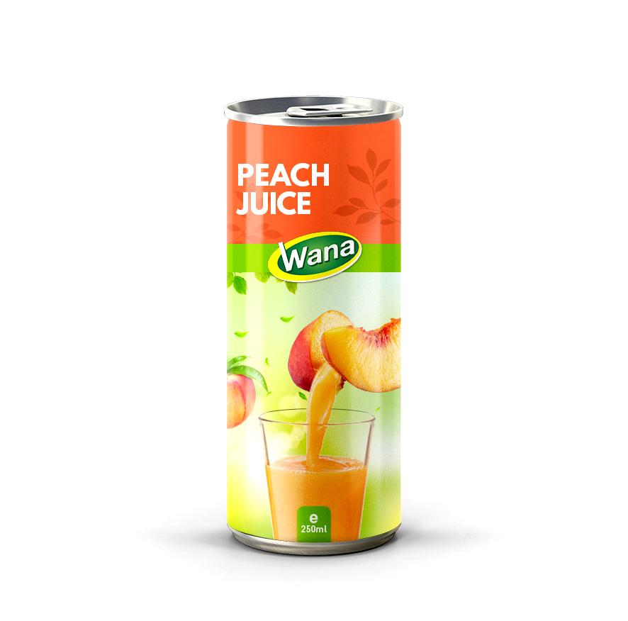 Refreshing Delight: Why Watermelon Fruit Juice Is the Ideal Beverage Choice - Image 4