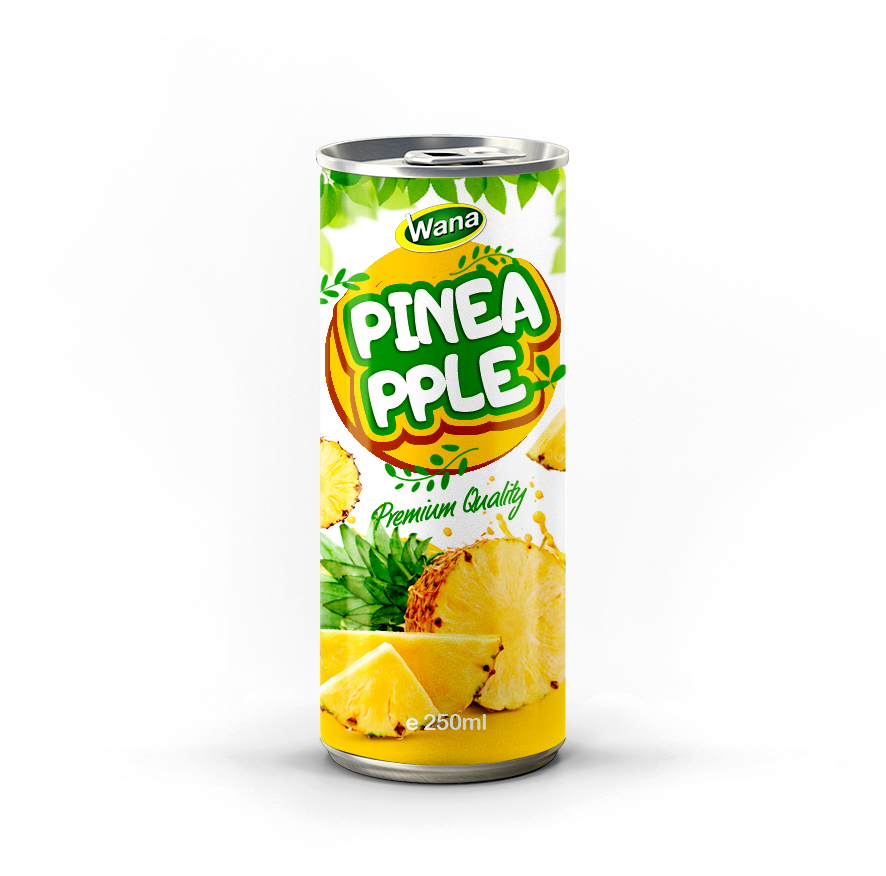 Premium Quality Logan Juice Drink 250mL - Image 6