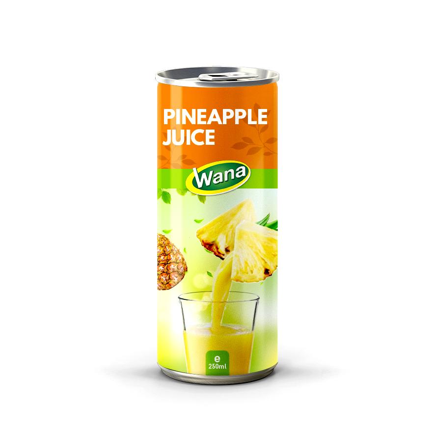 Refreshing Delight: Why Watermelon Fruit Juice Is the Ideal Beverage Choice - Image 5