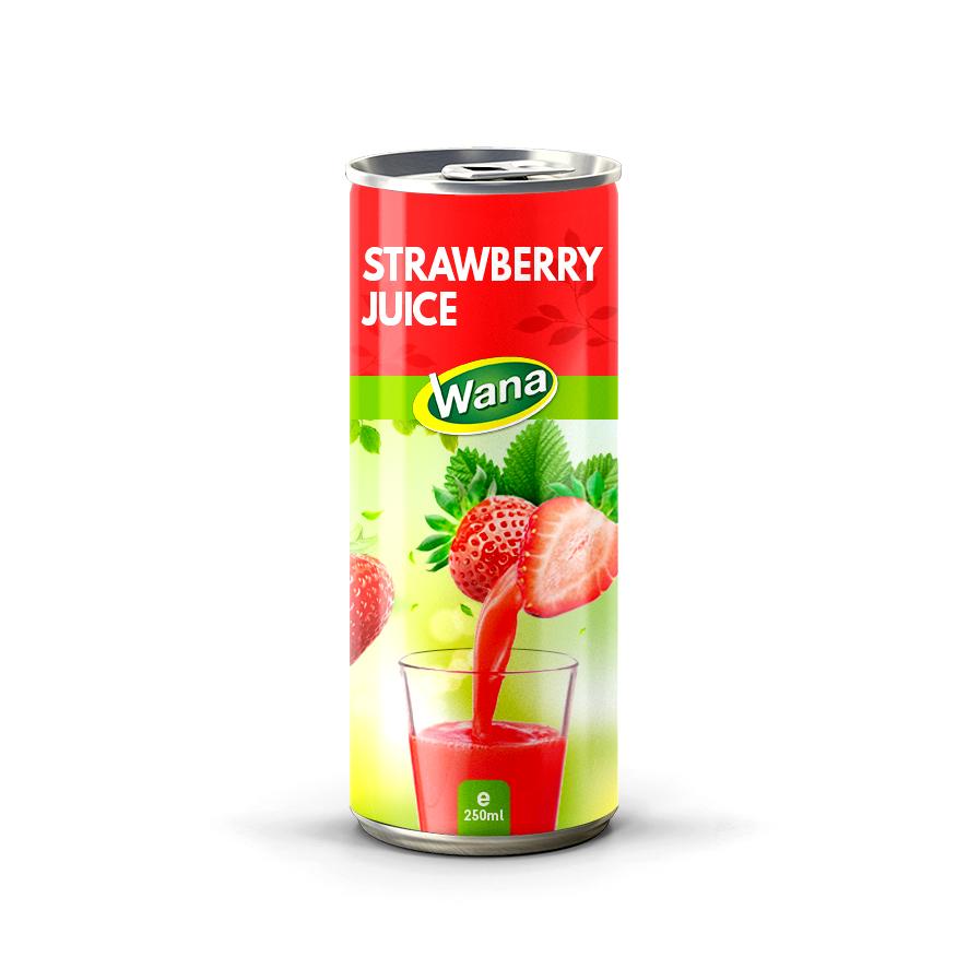 Refreshing Delight: Why Watermelon Fruit Juice Is the Ideal Beverage Choice - Image 6