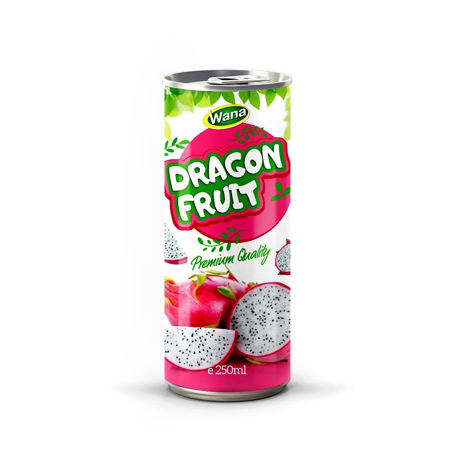 Premium Quality Logan Juice Drink 250mL - Image 7