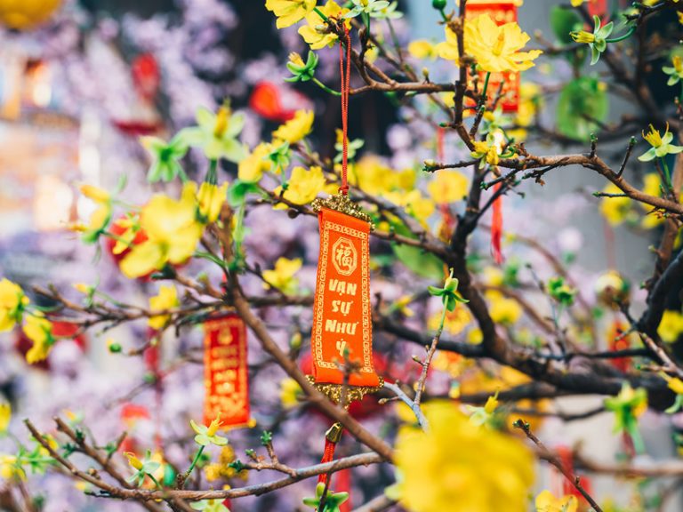 VIETNAM TRADITIONAL TET HOLIDAY
