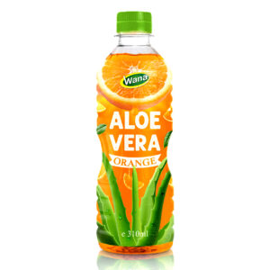 Wholesale Aloe Vera Drink with Orange Juice 310ml PET