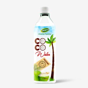 500ml PET Bottle Coconut Water For Daily Drink