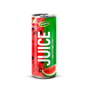 Wholesale Watermelon Juice Drink in 250ml Aluminum Canned