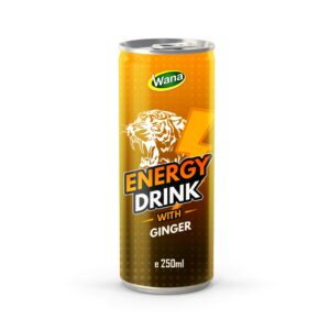 Boost Your Day - Ginger Flavored Energy Drink 250ml Canned