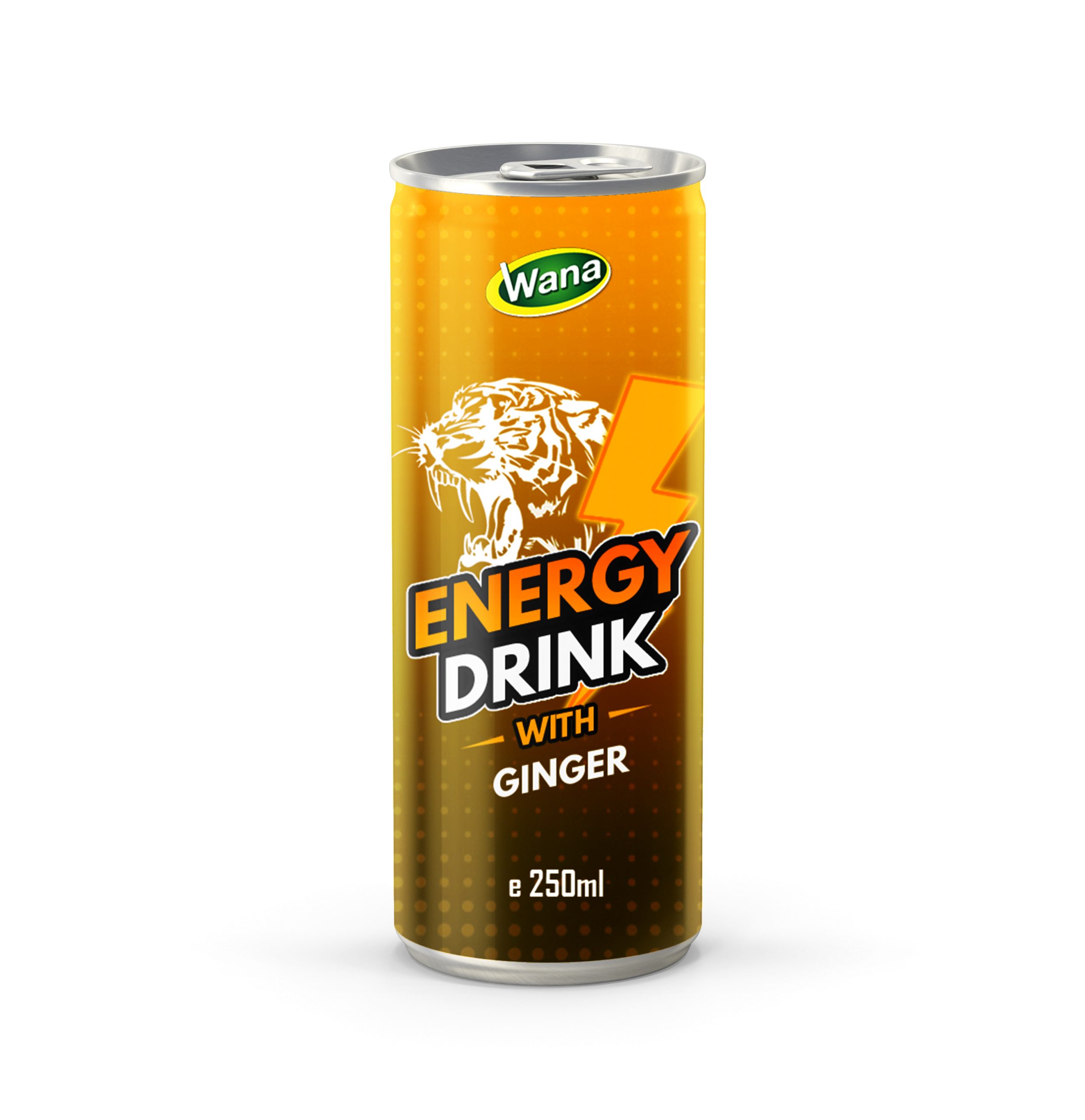 Boost Your Day - Ginger Flavored Energy Drink 250ml Canned