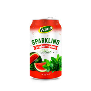 Mint Flavored Sparkling Watermelon Juice Drink 330ml
