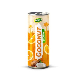 New Edition Coconut Drink with Orange Flavor in 250ml Canned
