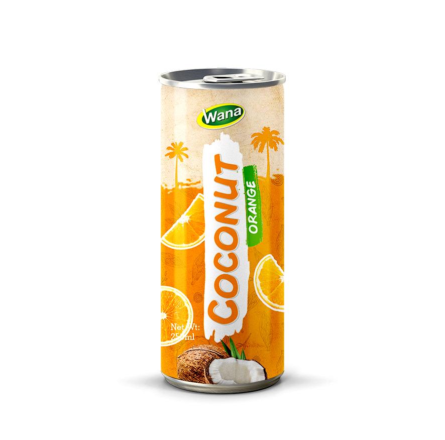 Private Label Coco Drink with Pomegranate Juice in 250ml canned - Image 6