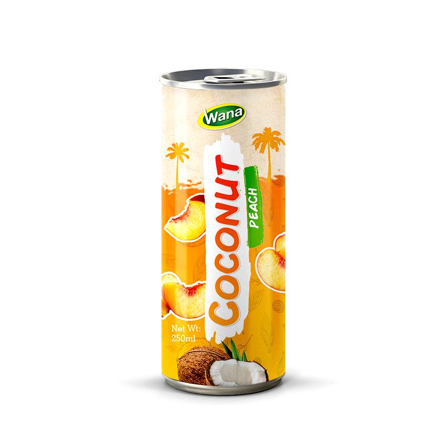 Private Label Coco Drink with Pomegranate Juice in 250ml canned - Image 5