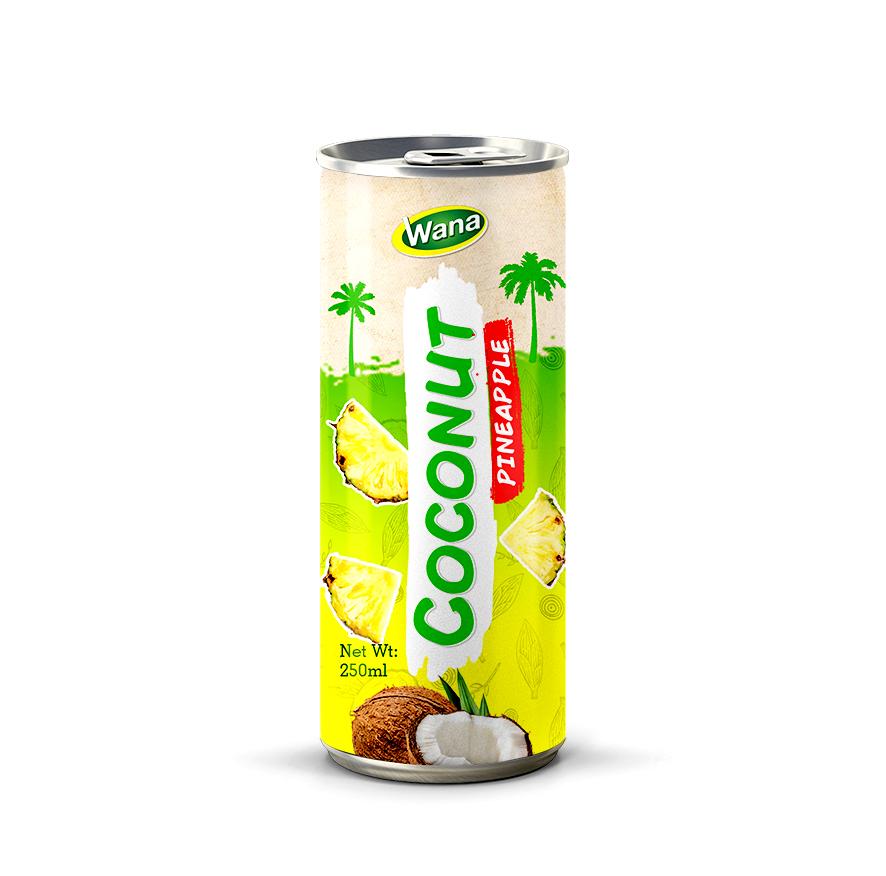 Private Label Coco Drink with Pomegranate Juice in 250ml canned - Image 4