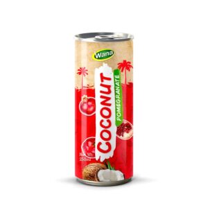 Private Label Coco Drink with Pomegranate Juice in 250ml canned