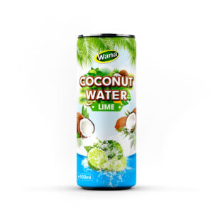 Premium Coconut Drinks with Lime Juice 500ml Canned