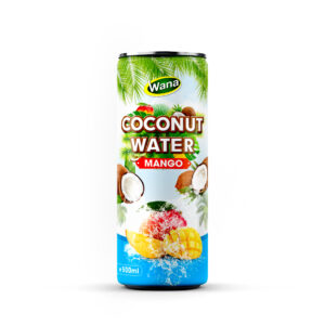 Best Wholesale Mango Flavored Coconut Drinks 500ml
