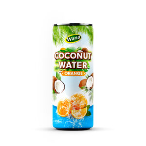Wholesale 500ml Coco Drinks with Orange Juice