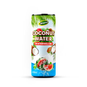 500ml Canned Coco Drinks with Watermelon Juice