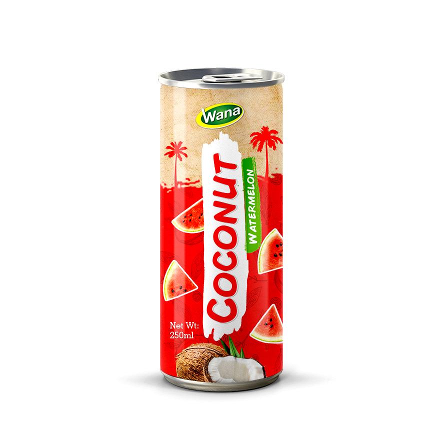Private Label Coco Drink with Pomegranate Juice in 250ml canned - Image 2