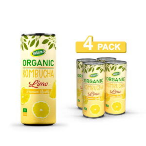 OEM Kombucha Tea Drink with Lime Flavor 320ml