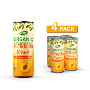 Top Trending Kombucha Tea Drink - Organic Product