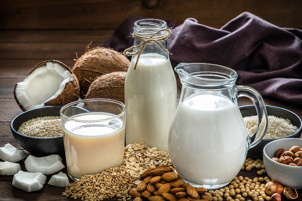 Why does Plant-based beverage manufacture become hot?