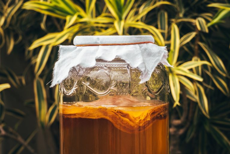 OEM Kombucha Tea – Healthy Summer Drink for Teenagers