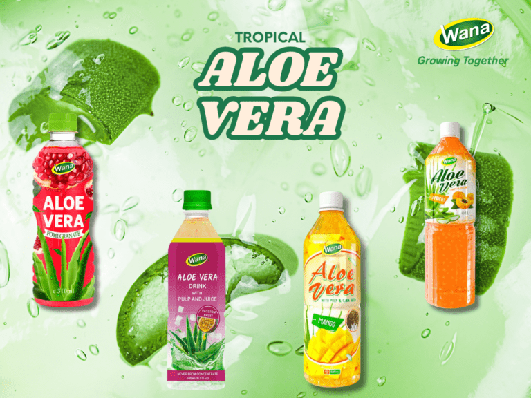 Tropical Aloe Vera : A Refreshing Drink for Health and Wellness