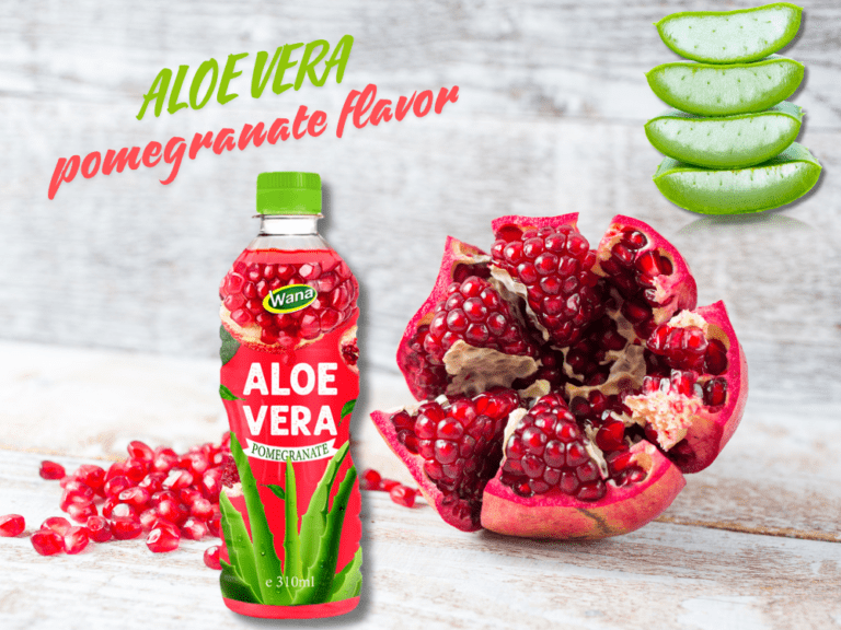 Conquer Your Taste Buds with Aloe Vera Pomegranate Drink