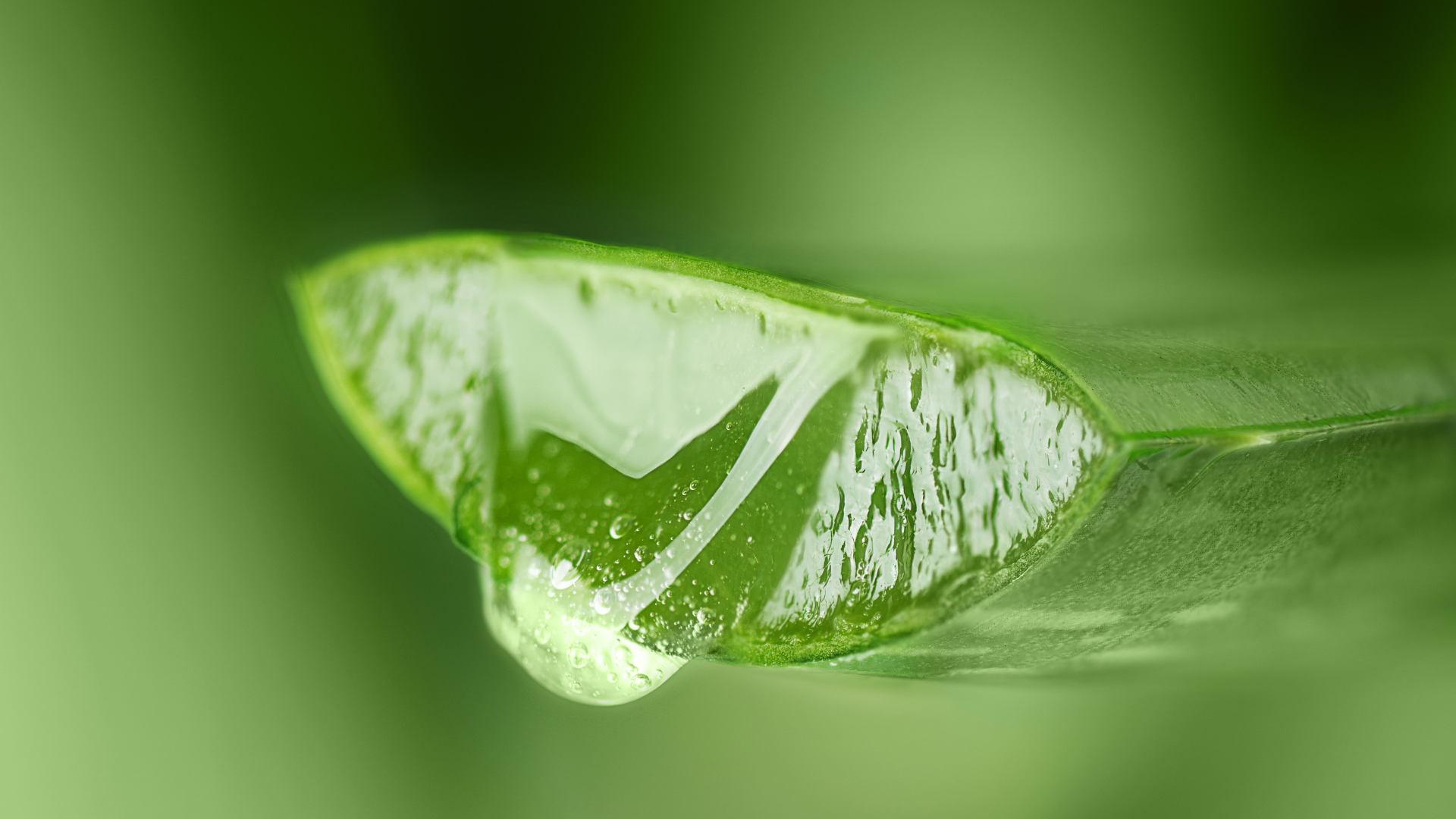 Aloe Vera Drink