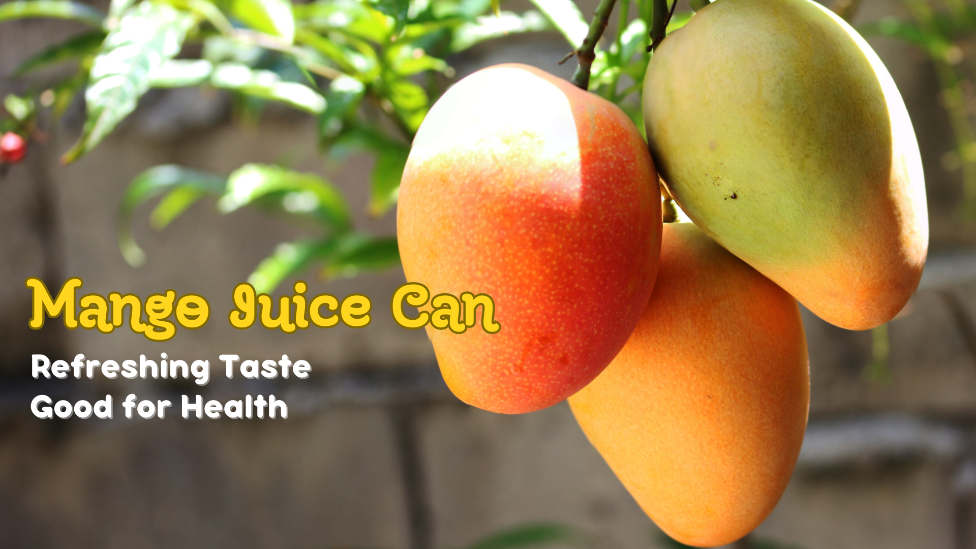 Mango Juice Can