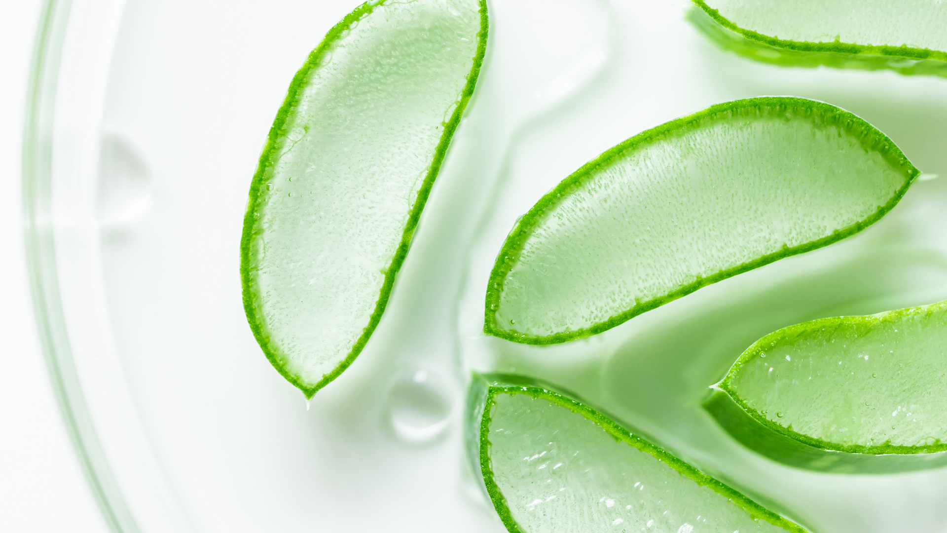 Aloe Vera Drinks