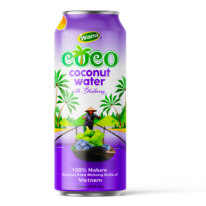 500ML - Coconut Water with Blueberry