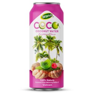 500ML - Coconut Water with Raspberry