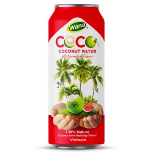 500ML - Coconut Water with Watermelon