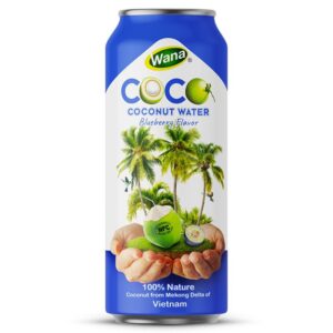 500ML - Coconut Water with Blueberry Flavor