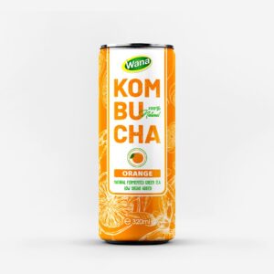 Kombucha Orange - Full of Orange Flavor, Bursting with Vitality