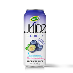 NATURE’S ESSENCE IN EVERY SIP – BLUEBERRY JUICE WITH PULP