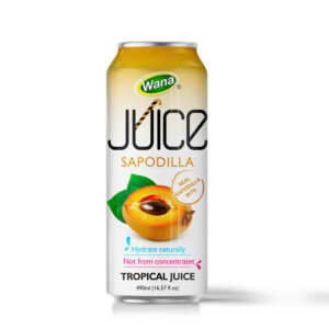 Sapodilla Juice with Pulp – The Golden Drink of Nature!