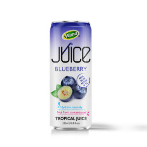 320ML - BLUEBERRY JUICE WITH PULP