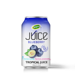 330ML - BLUEBERRY JUICE WITH PULP
