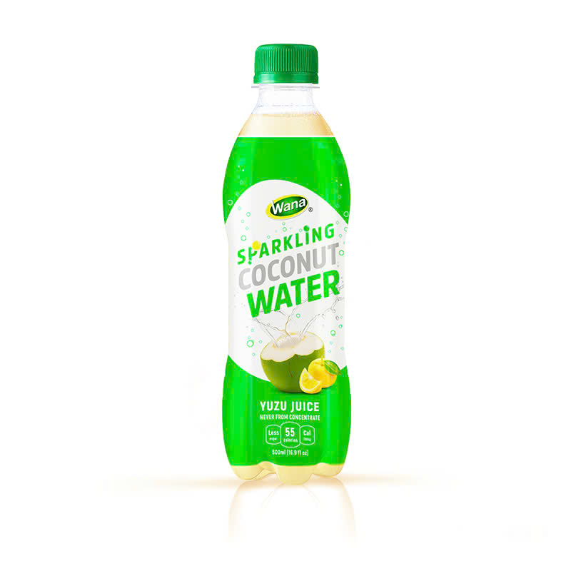 Sparkling Coconut Water with Lychee Juice – Delicate Sweetness with an Eastern Touch - Image 2