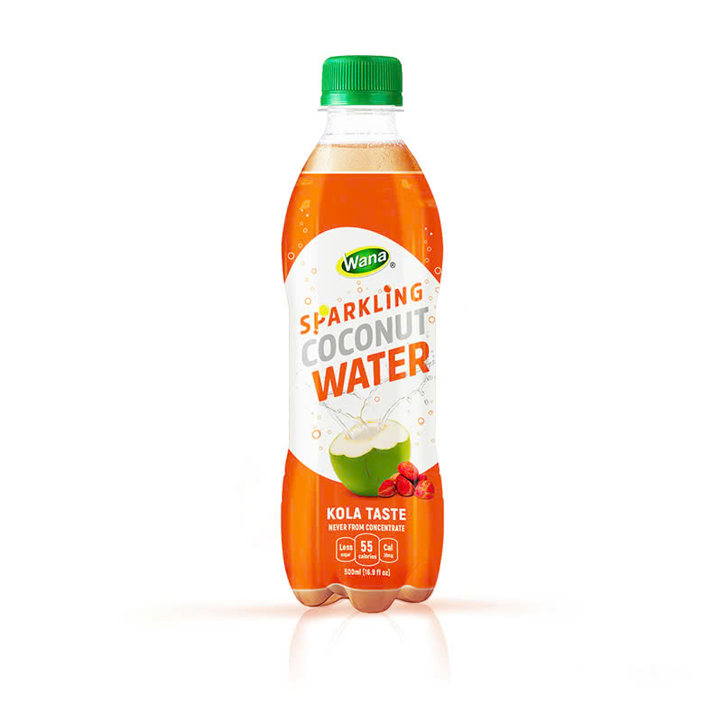 Sparkling Coconut Water with Lychee Juice – Delicate Sweetness with an Eastern Touch - Image 7
