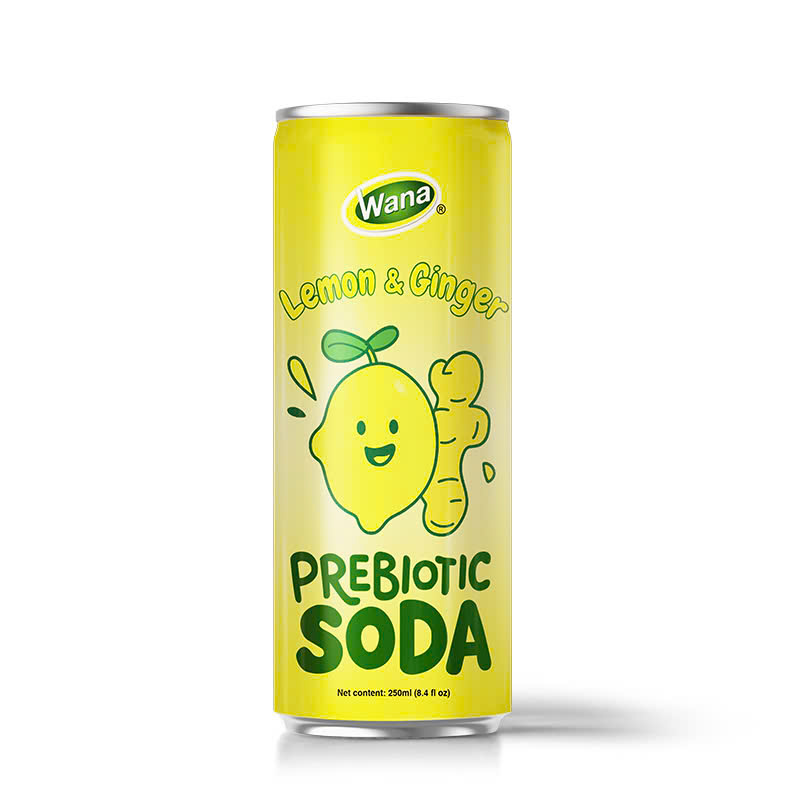 Lemon & Ginger Prebiotic Soda